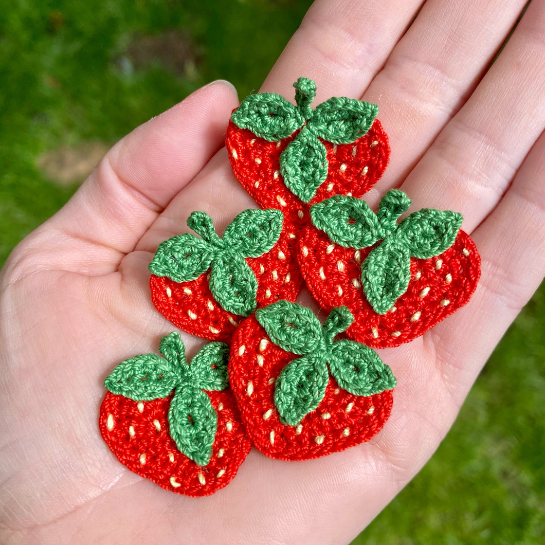 Strawberry Clip and Bobble