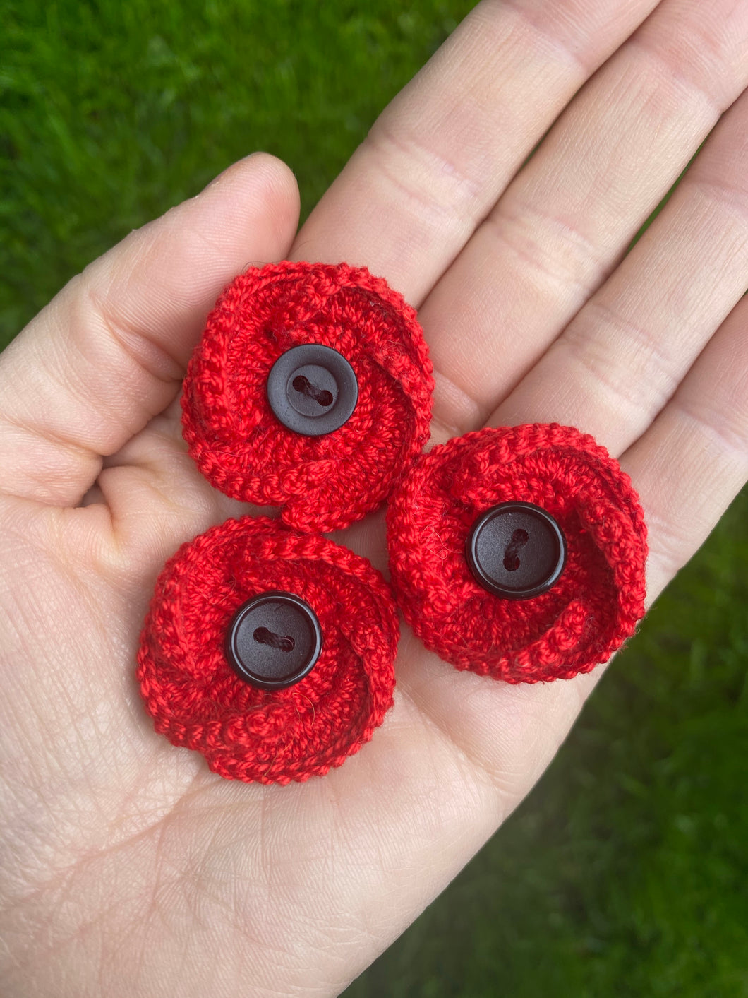 Scottish Poppy